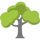 Foley Tree Removal
